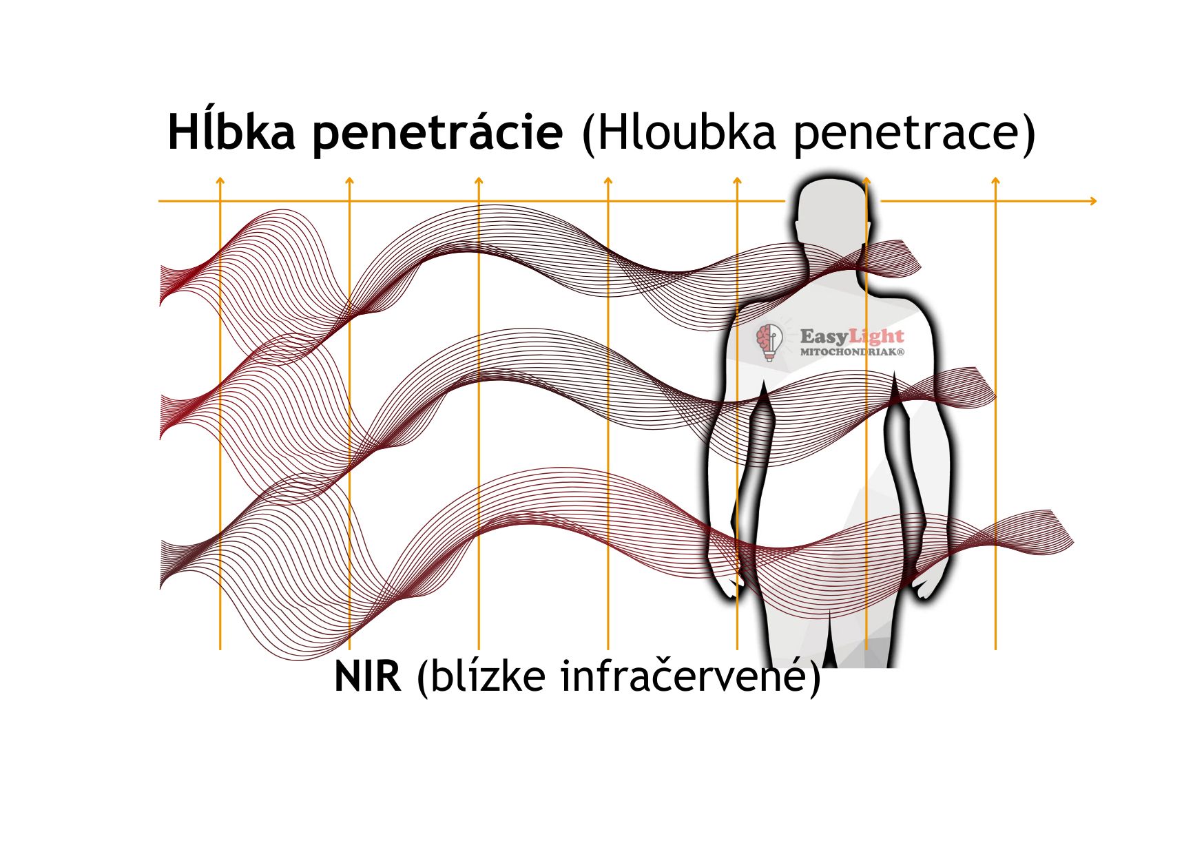Mitochondriak® light therapy